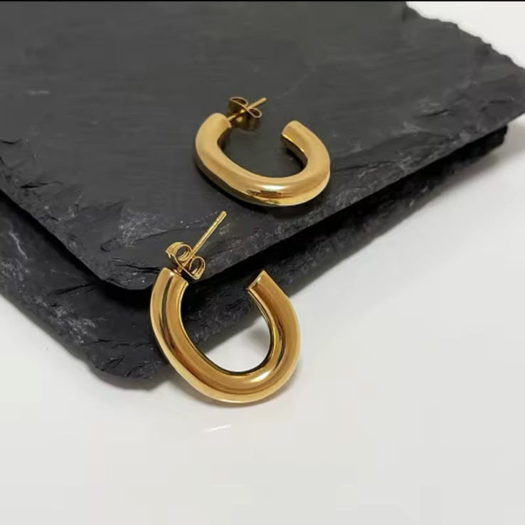 Ατσάλινα Σκουλαρίκια Κρίκοι - MOTRIL  Earrings ( χρυσό, ασημί)