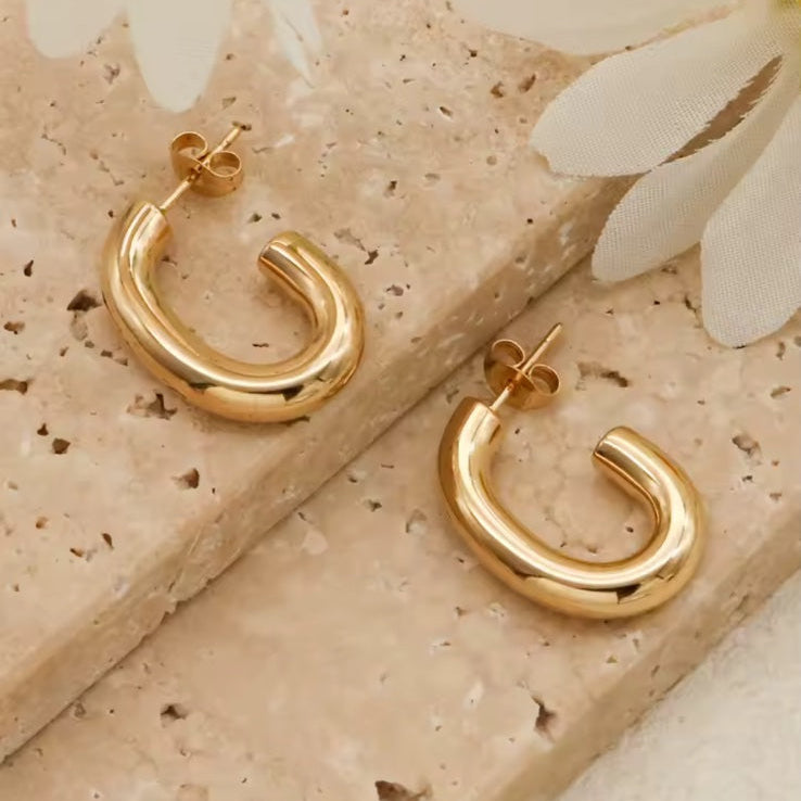 Ατσάλινα Σκουλαρίκια Κρίκοι - MOTRIL  Earrings ( χρυσό, ασημί)