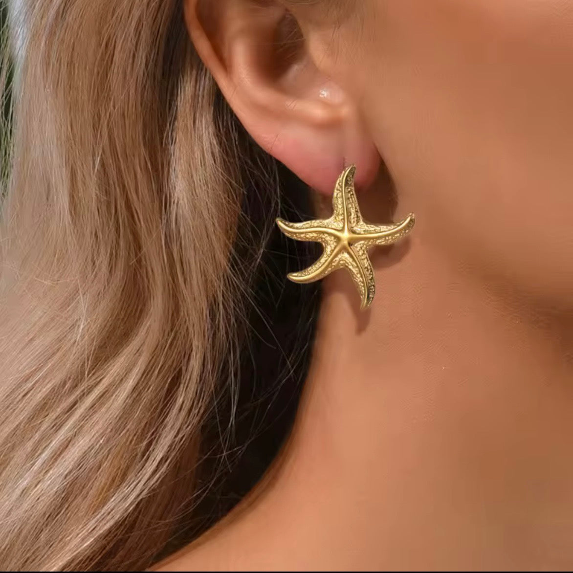 Ατσάλινα Γυναικεία Σκουλαρίκια - Asty Earrings (χρυσό, ασημί)