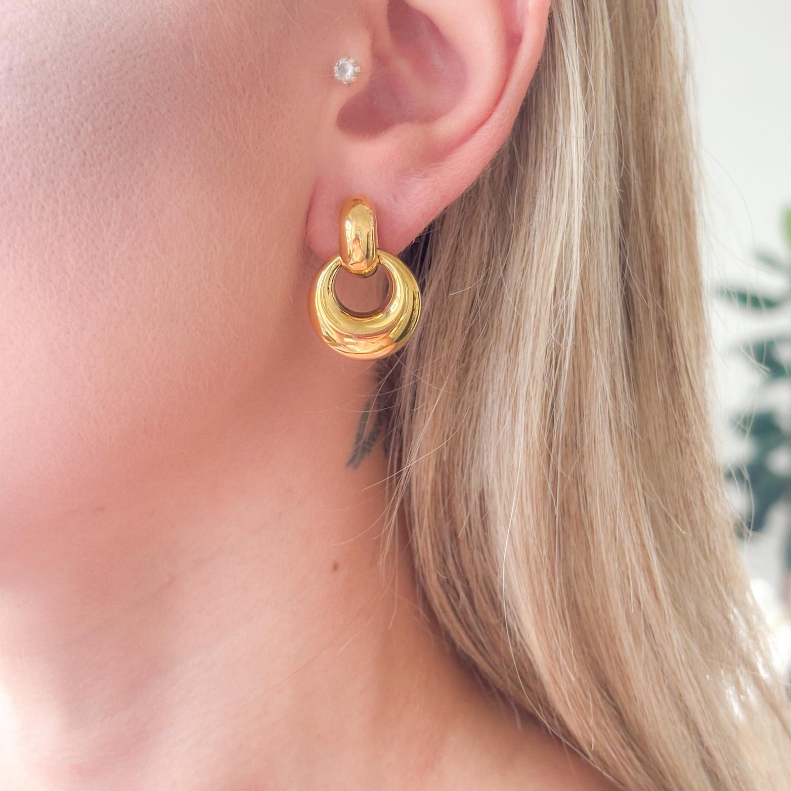 Γυναικεία Ατσάλινα Σκουλαρίκια - Nayoro Earrings ( χρυσό, ασημί)