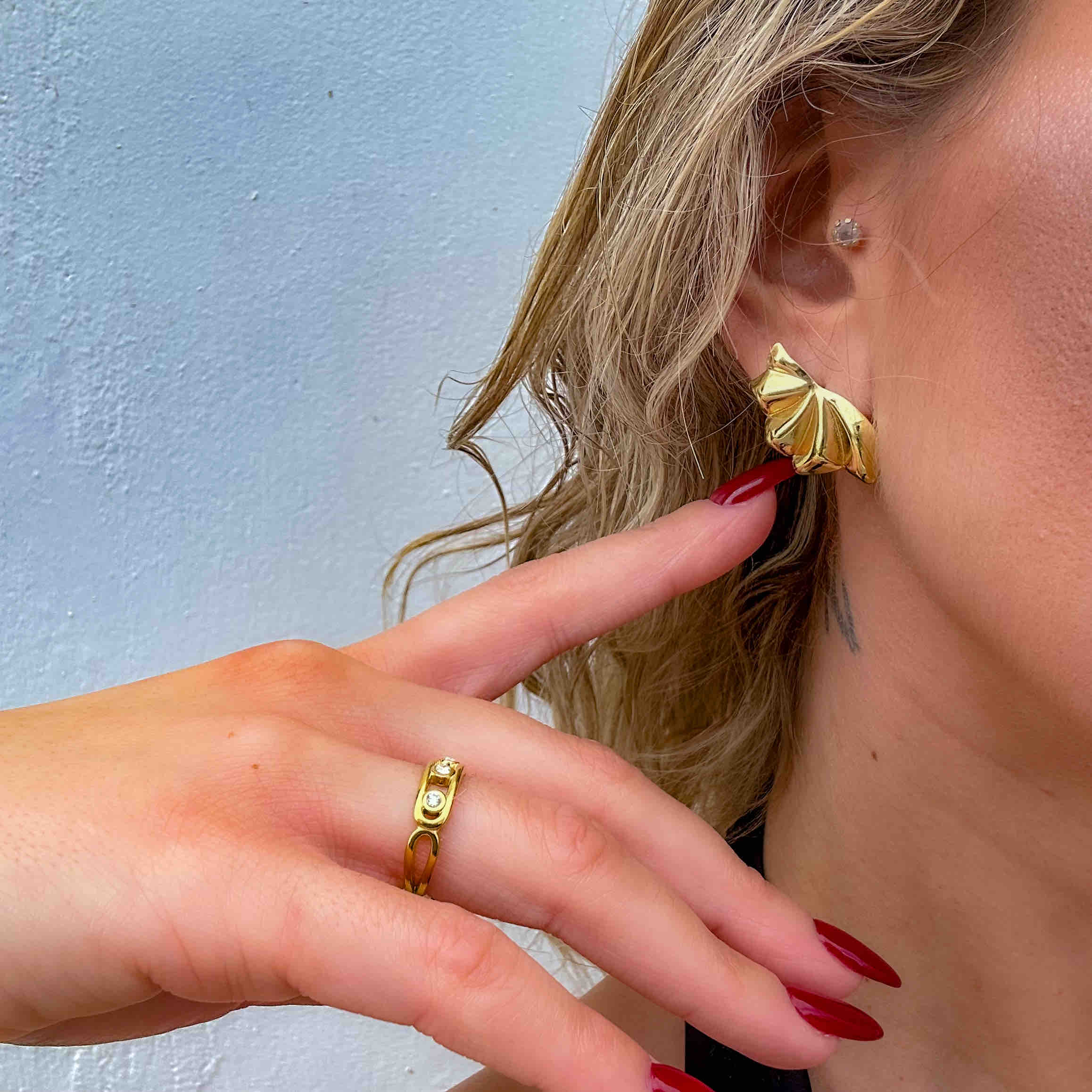 Γυναικεία Ατσάλινα Σκουλαρίκια - Kara Earrings